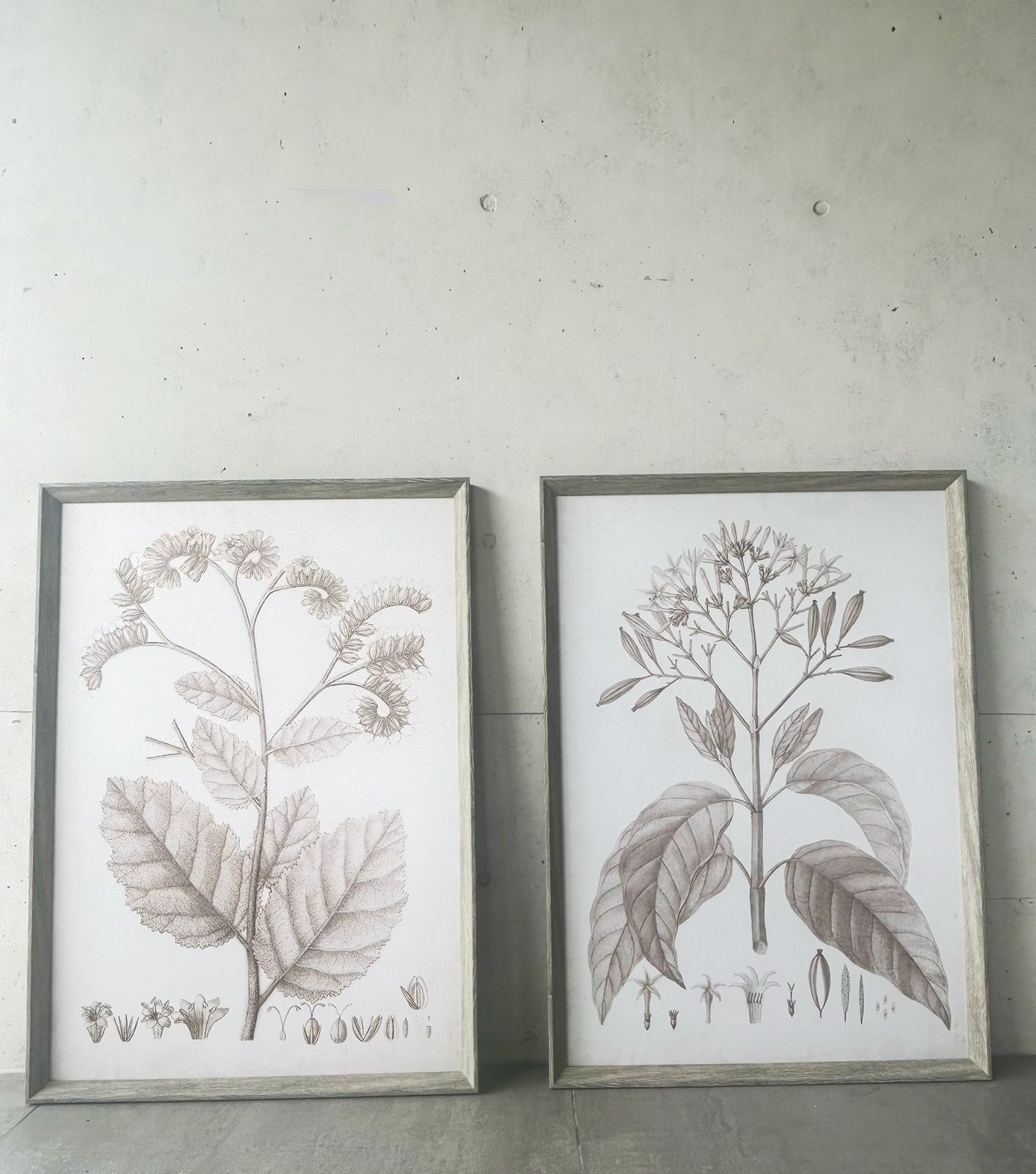 Set de 2 cuadros decorativos