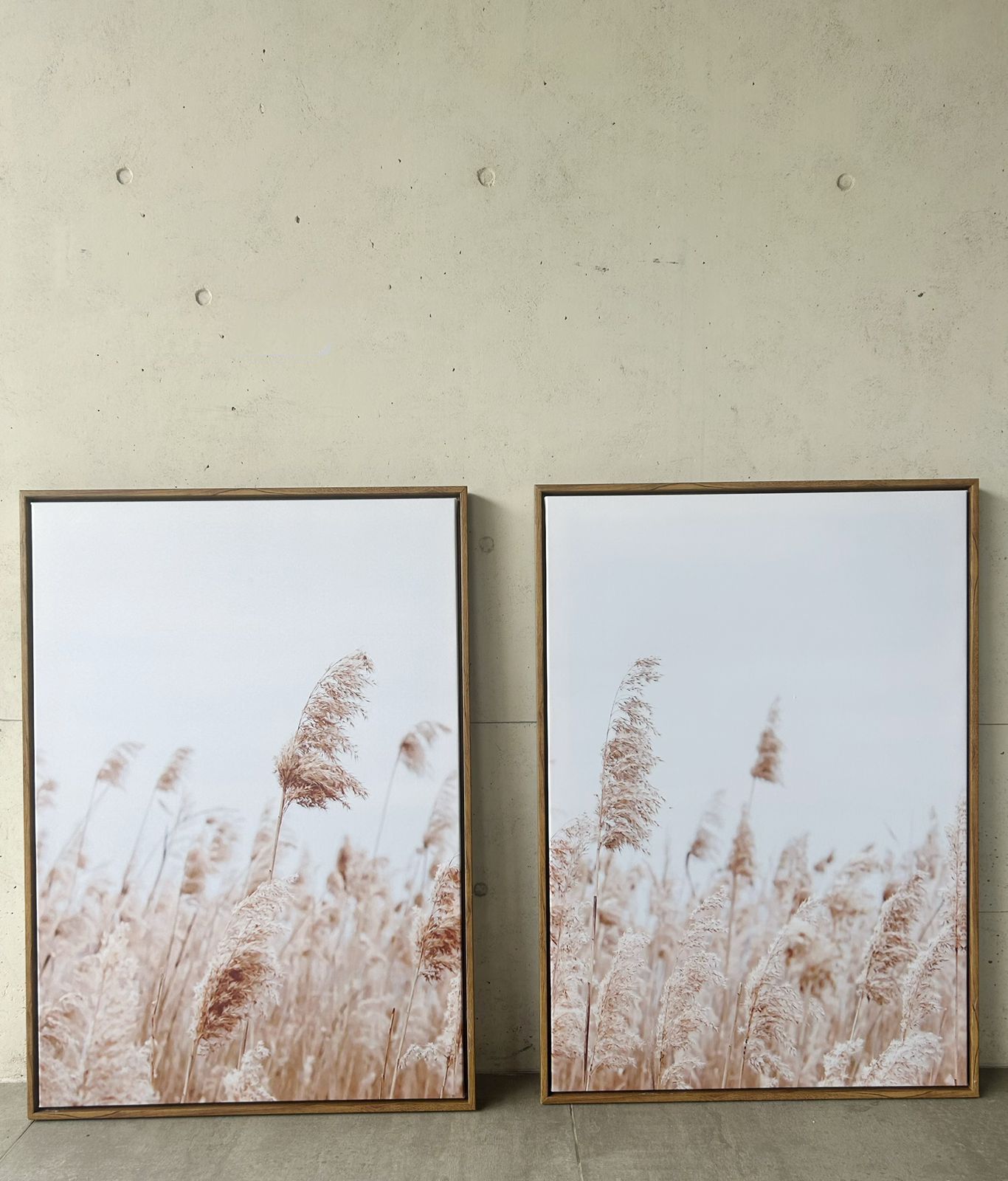 Set de 2 cuadros decorativos