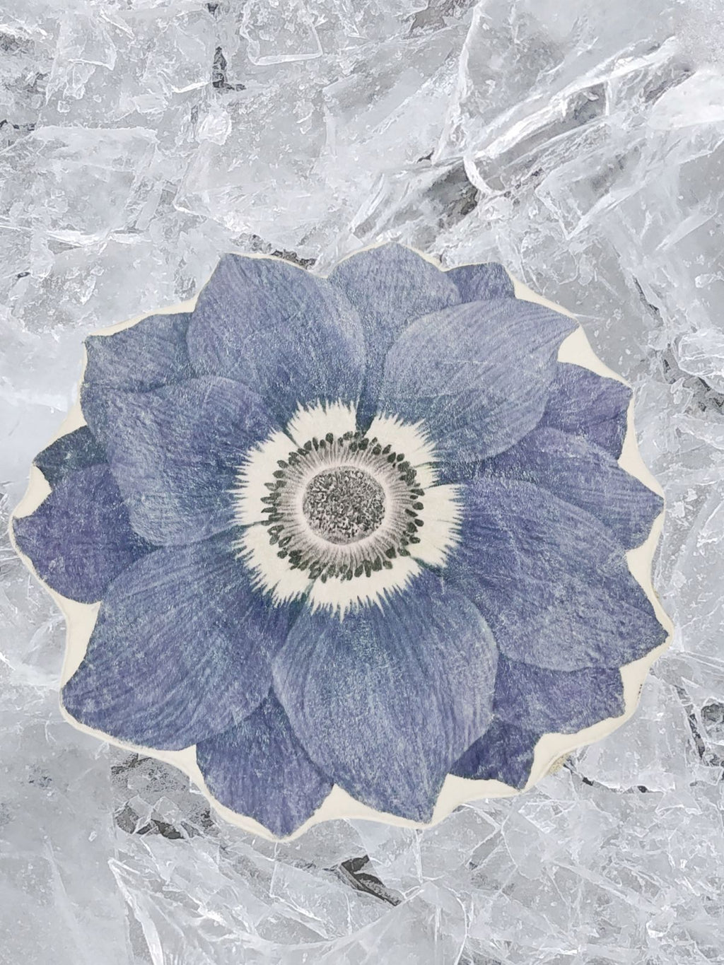 30% Descuento, Alfombra de felpa antideslizante