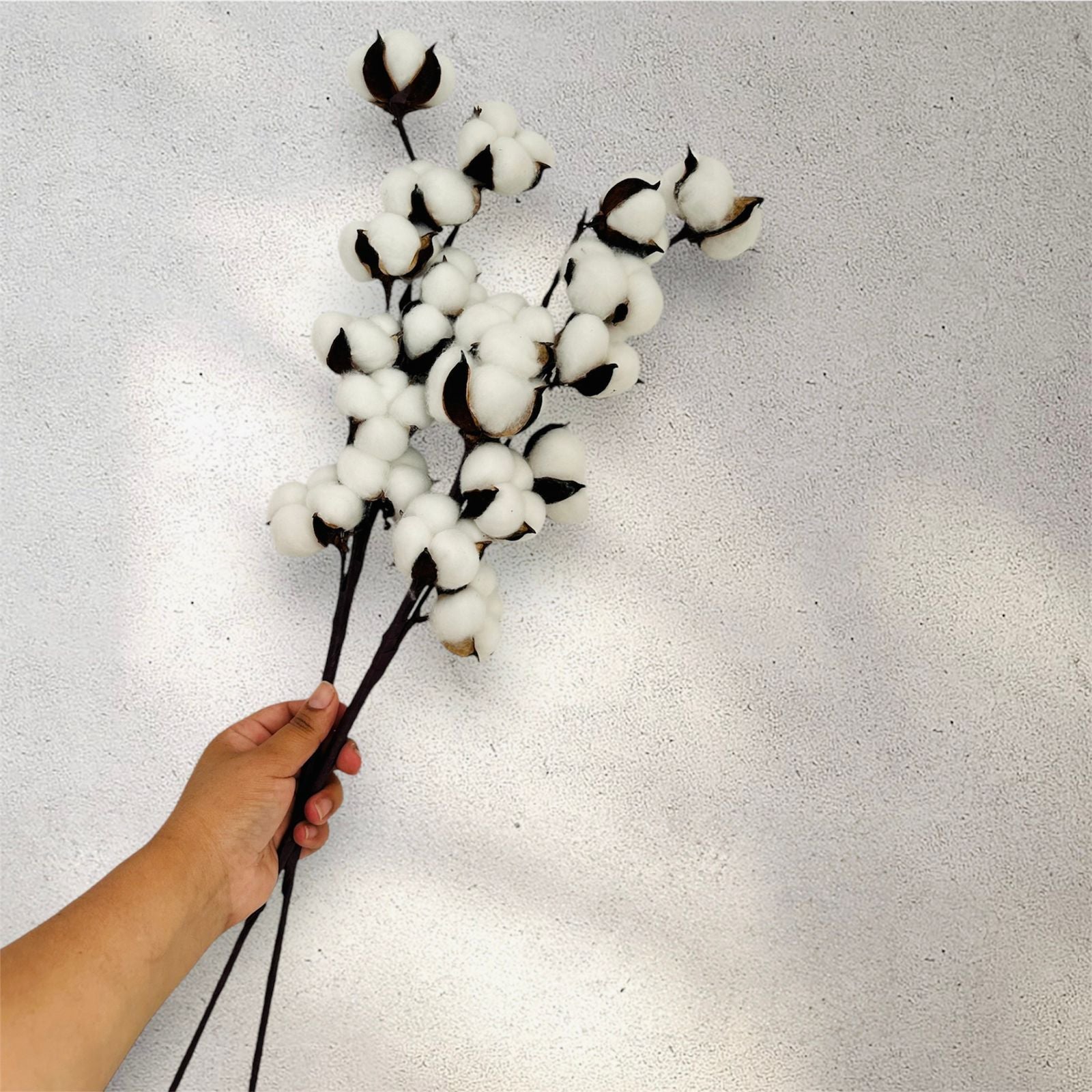 2 Varitas de algodón