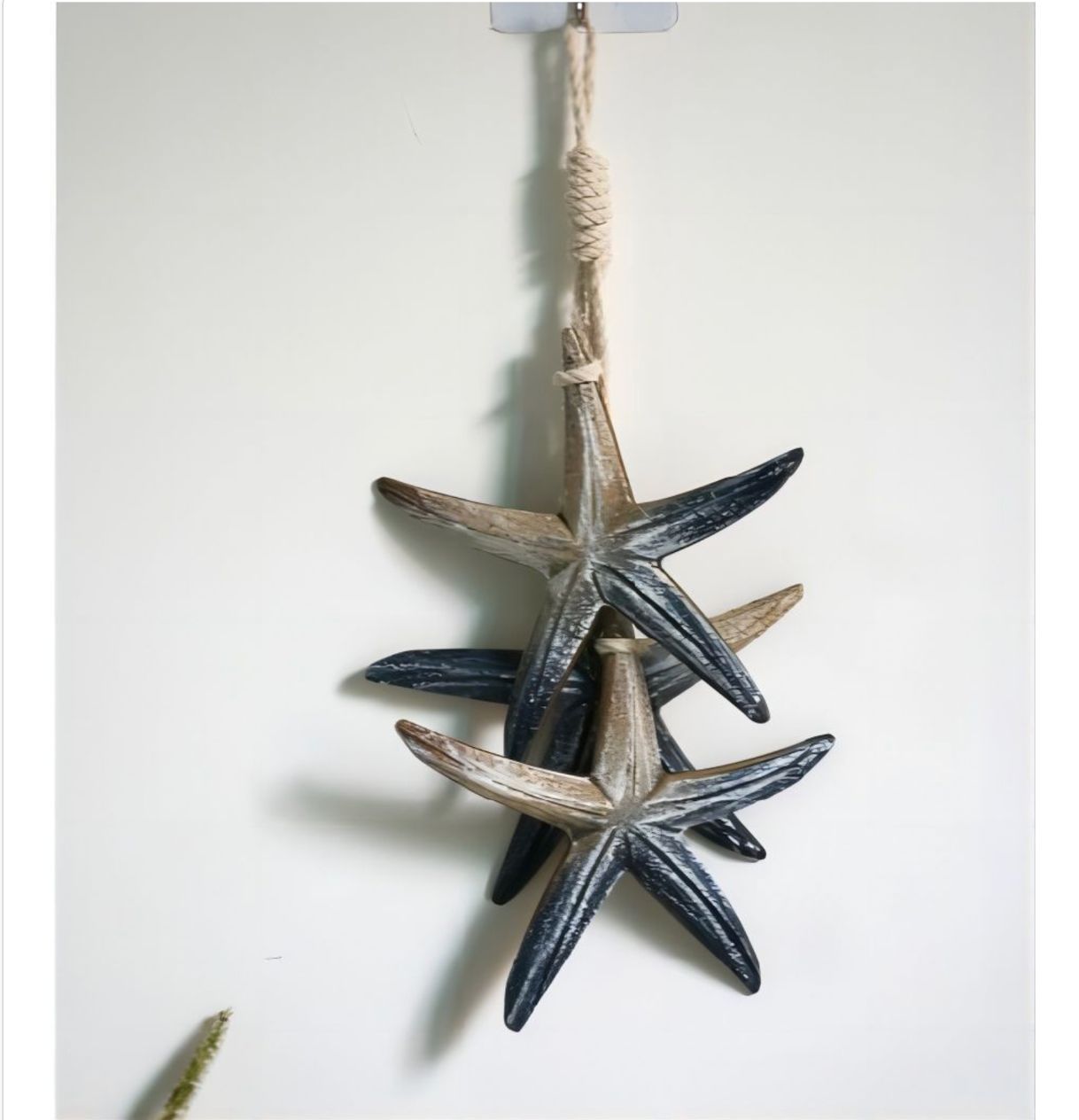 Colgador de pared estrella de mar
