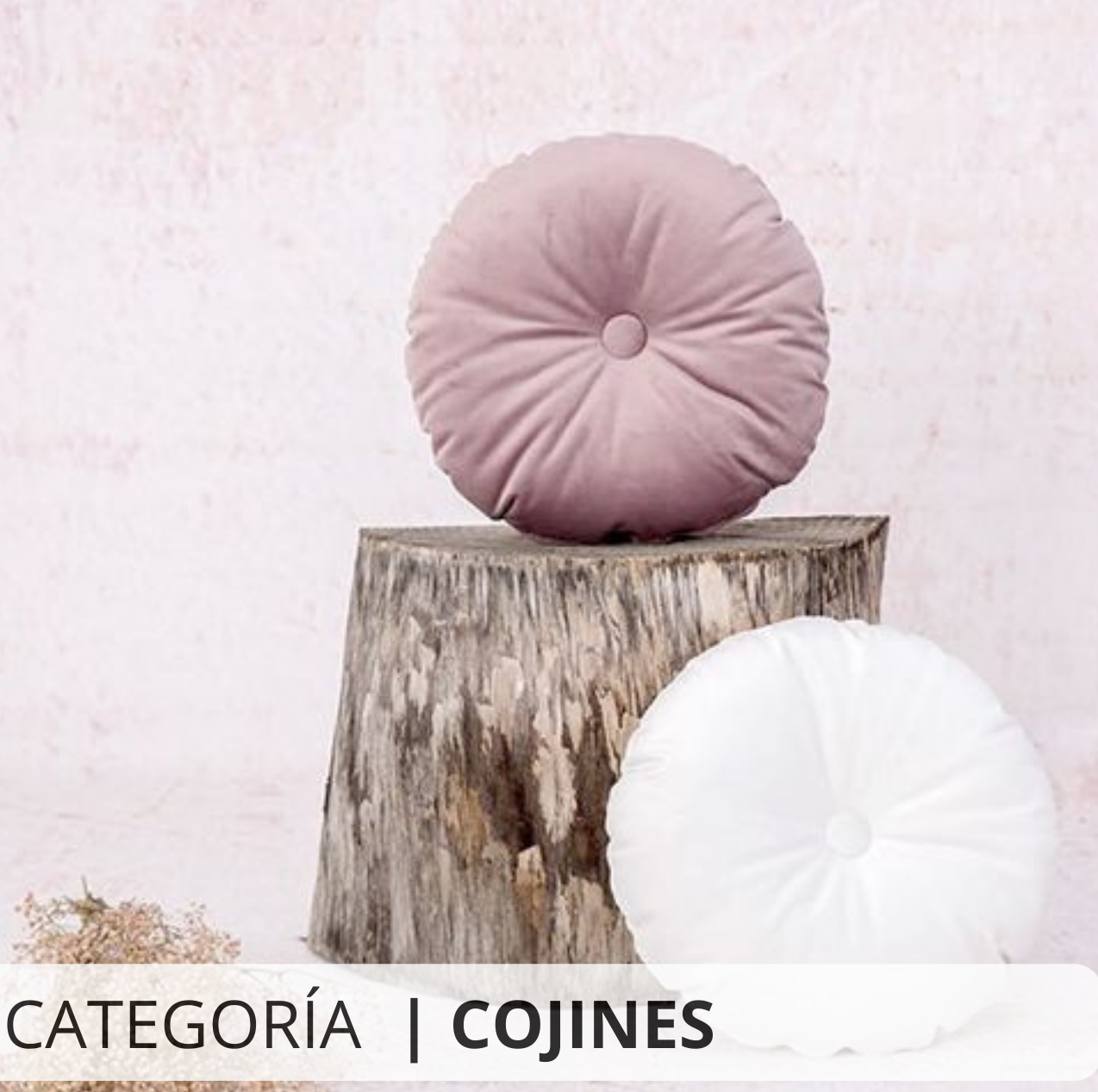 cojines